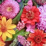 Giovanna_alfieri - @giovanna_alfieri01 - Instagram