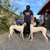 giovanni Alexander - @giovanni.alexande35 - TikTok