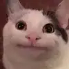 Giovanni Cabrera - @giovanni_0616 - TikTok
