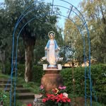 Giovanni Carollo - @carollo1240 - Instagram