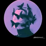 Giovanni Corsi - @giovanni_corsi_ - Instagram