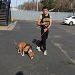 Giovanni Isaac Mendez Freeman - @xtrellitaz - Instagram
