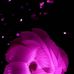 Giovanni Nelson - Facebook