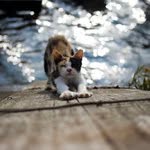 Giovanni Pratt - @giovannipratt - Instagram