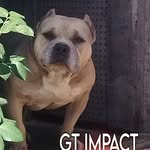 Giovanni Tobar - @giotobar1971 - Instagram