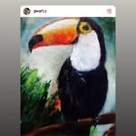 Giovanni Wallace Gwartes - @gritosurb - Instagram