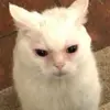Giovanni Edwards - @giovanni.edwards02 - TikTok