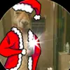 Giovanny Lopez - @giovanny.lopez84 - TikTok
