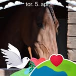 Gitte Pedersen - @gitte.pedersen.39501 - Instagram