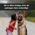 Gitte Pedersen - @gittepedersen2021 - Instagram