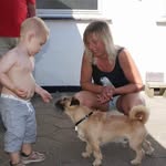 Gitte Pedersen - @gittelandin - Instagram