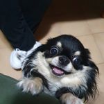 Giulio Bruno - @giuliobruno6 - Instagram