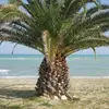 Giulio Palma - @giuliopalma8 - TikTok