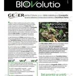 Giulio Palma - @giulio.palma.31 - Instagram