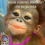 Mimmo Curci - @giulio.palma.90 - Instagram