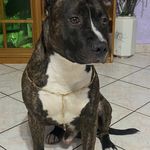 Giuseppe Carollo - @giuseppe.carollo.148 - Instagram