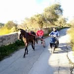 Giuseppe Cavallo - @cavallogiuseppe64 - Instagram