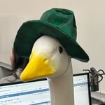 Gladys The Goose - @gladys_the_choir_goose - Instagram