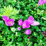 Gladys Mackesy - @gladysmackesy - Instagram