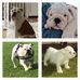 Gladys Manning - Facebook