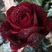 Gladys Marcano - Facebook
