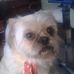 Gladys Mcdonald - Facebook