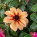 Gladys McDonald - Facebook