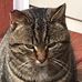 Gladys McDonald - Facebook