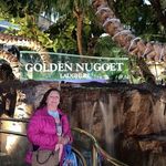 Gladys McGowan - @mcgowan8484 - Instagram