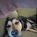 Gladys McGowan - Facebook