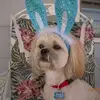 gladmcwilliams - @gladmcwilliams - TikTok