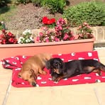 Gladys Mead - Facebook