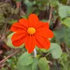 Gladys.mor - @gladys.mor - TikTok