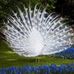 Gladys Morse - Facebook