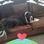 Gladys Marina Olsen - @gmarina1955 - Instagram
