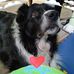 Gladys Olsen - Facebook