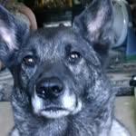 Gladys Olson - @olsongladys2 - Instagram