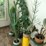 Gladys Pace - @gladyspace415 - Instagram