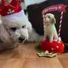 Gladys Puga - @gladys.puga - TikTok