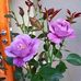 Gladys Rañipe - Facebook