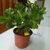 gladyssheperd - @gladyssheperd - TikTok