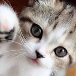 Gladys Simpson - @gladys.simpson.353 - Instagram