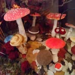Gladys Siu - Facebook