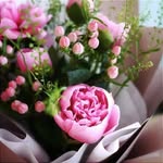Gladys Siu - @gladys.siu.501 - Instagram