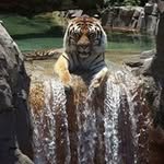 Gladys Sprague - @gladyssprague - Instagram