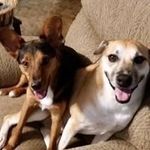 Gladys Stanley - @stanleygladys - Instagram