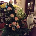 Gladys stanley - @gladysstanley - Instagram