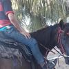 gladystonebarros - @gladystone1 - TikTok