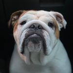 Gladys - @gladys.how.sweet - Instagram
