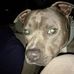 Gladys Sweet - Facebook